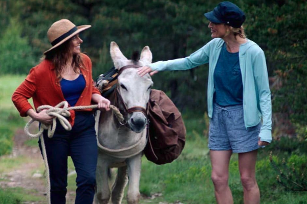 My Donkey, My Lover, and I (2020)