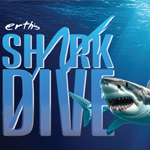 Shark Dive