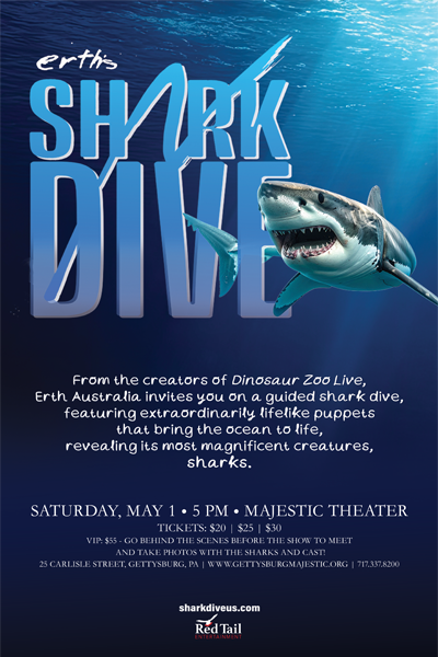 Shark Dive