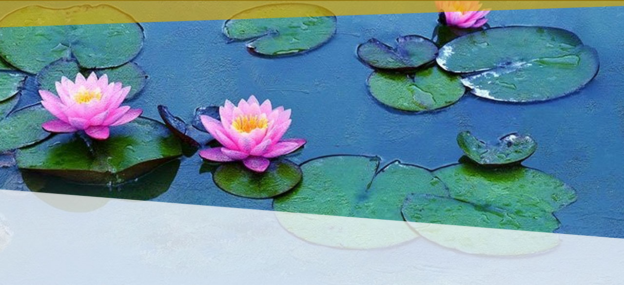 Great Art on Screen: Water Lilies of Monet: The Magic of Water and Light