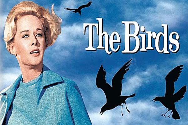 Summer Classics: The Birds (1963)