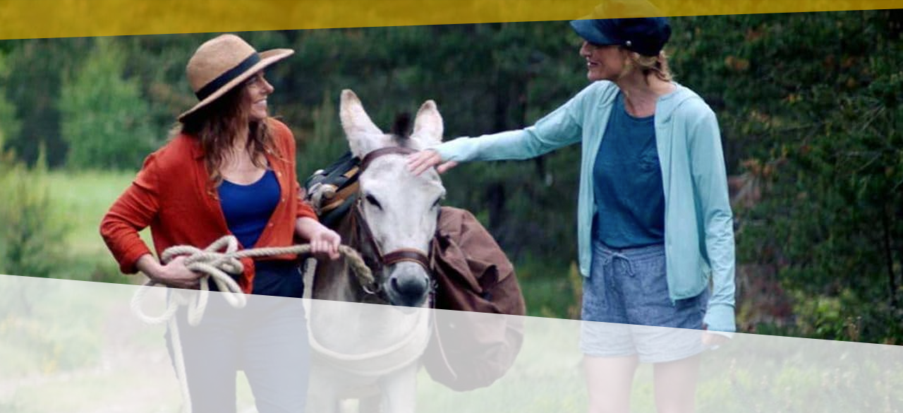 My Donkey, My Lover, and I (2020)
