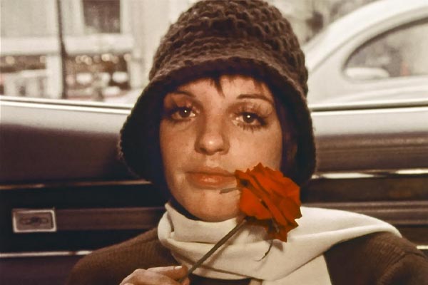 LIZA: A Truly Terrific Absolutely True Story