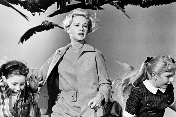 Online Seminar: The Birds (1963)