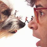 Summer Classics- Honey, I Shrunk the Kids (1989)