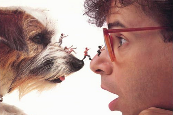Summer Classics- Honey, I Shrunk the Kids (1989)